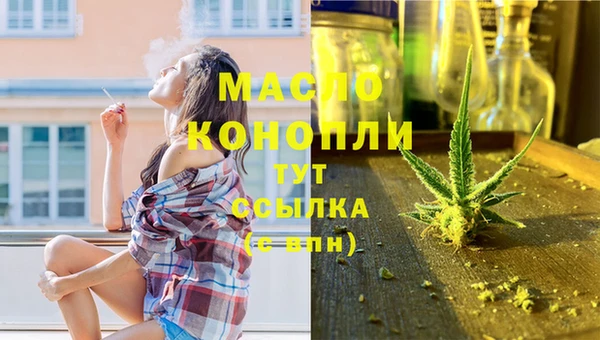 тгк Абаза