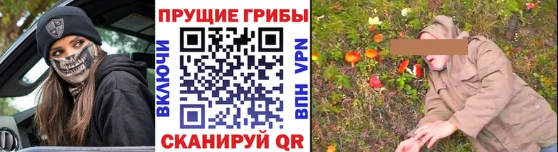 hydra сайт  купить наркоту  Янаул  Галлюциногенные грибы мухоморы 